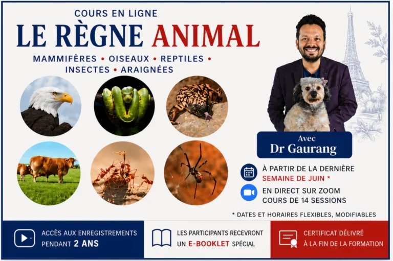 Le Règne Animal – Dr Gaurang Gaikwad